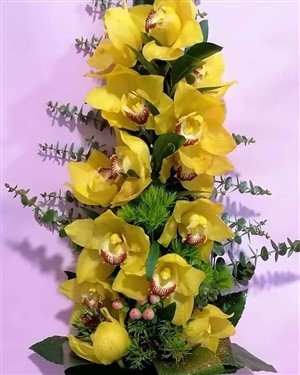 Haste Cymbidium