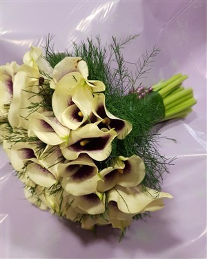 Ramo de Jarros (Calla)